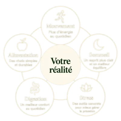 Diagramme-5-leviers-Marc-Nutri-Fit-ordinateur